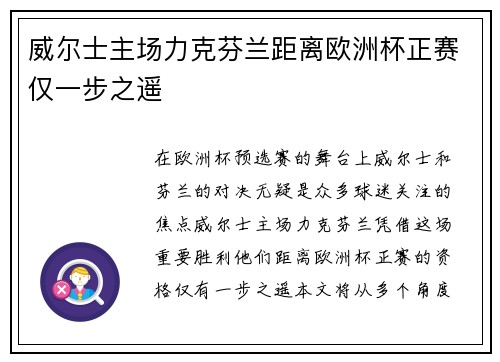 威尔士主场力克芬兰距离欧洲杯正赛仅一步之遥